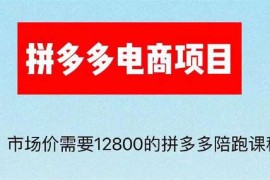 众筹：高鹏·抖音拼‮多多‬电商项目