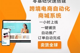 一起赚美元《一小时搭建跨境无货源自动化商城》