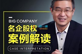 马方《名企股权案例解读》