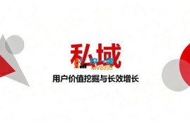 万磊《成人私域实战课》