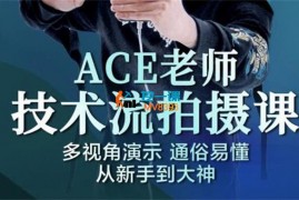 Ace《技术流从新手到大神全套课程》