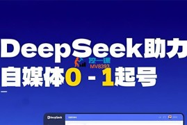 婧婧《Ai时代从0-1打造赚钱账号》