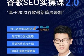 雷子《谷歌SEO2.0实战课》