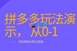 老吴《拼多多从选品到截流到付费的玩法技巧》