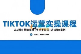 Annie Chan《Tiktok运营实操课程》