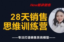 众筹：new姐28天销售训练营