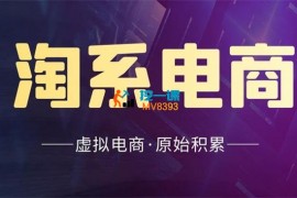 王哪干《淘系虚拟电商必修课》