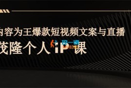 杨茂隆《内容为王爆款短视频文案与直播茂隆个人IP课》