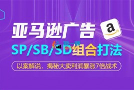 杨老师《亚马逊SP-SB-SD广告组合打法》