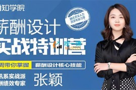 众筹：张颖·薪酬设计训练营