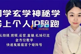 小默《国学玄学线上IP陪跑课程》