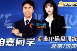 吉同学《2025IP流量操盘手训练营》