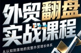Alisa《外贸翻盘实战课程》