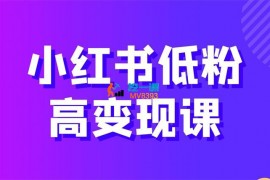 月月《小红书低粉高变现课》