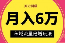 原力网赚《月入6万私域流量倍增玩法》