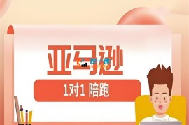 子键跨境《亚马逊1对1陪跑课》