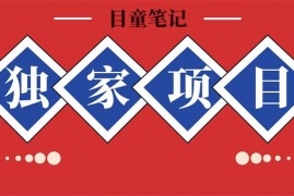 众筹：目童·全网独家自营渠道项目