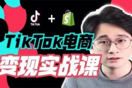 Ethan《TikTok电商变现实战课》
