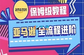 跨境老E《亚马逊全流程进阶保姆级教程》