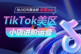 甘先生《TikTok Shop美区小店进阶运营》