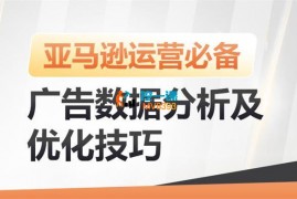 Jewel《亚马逊广告数据分析及优化》