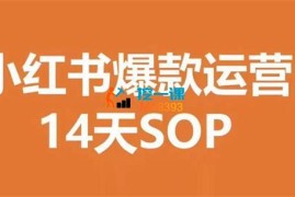 七七《小红书爆款运营14天SOP》
