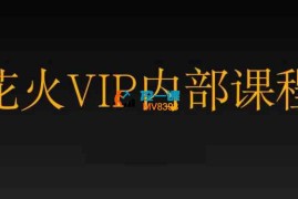 花火《VIP专享课》