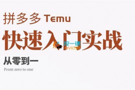 扑客《Temu快速入门实战课》