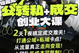 刘思毅《公转私+成交创业9月6-7日杭州线下大课》