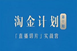 小新《淘金之路第十期实战训练营》