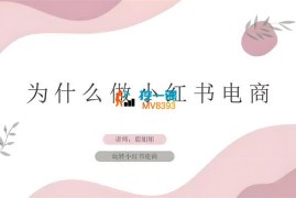 鹿姐姐《小红书电商课程》
