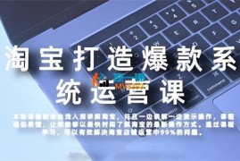 大海《淘宝打造爆款系统运营课》