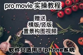 漆十二《美食摄影promovie实操高手课》