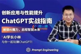 小林《ChatGPT实战指南》