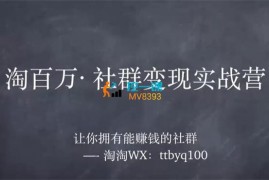 淘百万《社群变现实战营》