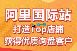 李想《阿里国际站Top店铺打造与优质询盘客户获取》