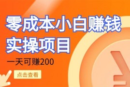 零成本小白赚钱实操项目，一天可赚200，每个月多一份收入来源