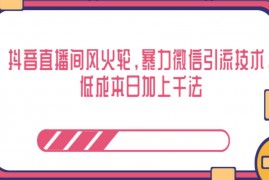 抖音直播间风火轮，暴力微信引流技术，低成本日加上千法