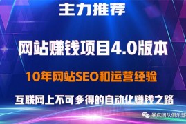 暴疯团队《网站运营与盈利4.0》