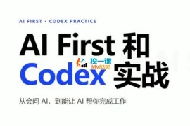 AI Spark《AIFirst和Codex实战》