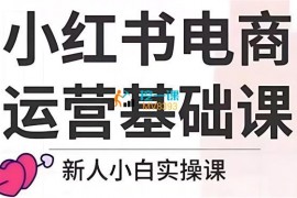 张大嘴《小红书电商基础课》