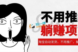 淘宝自动发货，不用推广，躺赚的项目