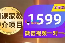 耀哥《网课家教中介项目》