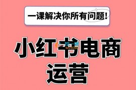 疯哥《小红书电商运营VIP课》