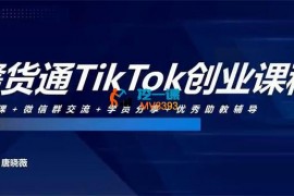 唐晓薇《零基础TikTok副业变现课程》