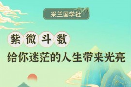 众筹：紫微斗数实战训练营