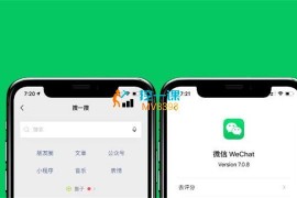 麦子《微信搜一搜实训课程》