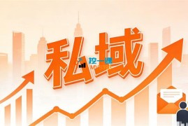 楚老师《私域精细化运营与成交》