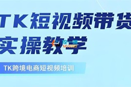 张瑞《东南亚TikTok短视频带货》