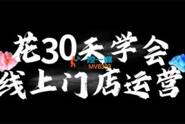 小枫《线上门店运营》